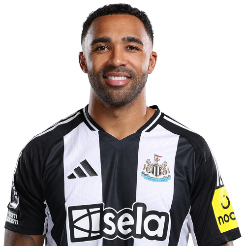 कैलम विल्सन